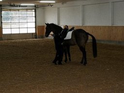 DSC02474-007_web
